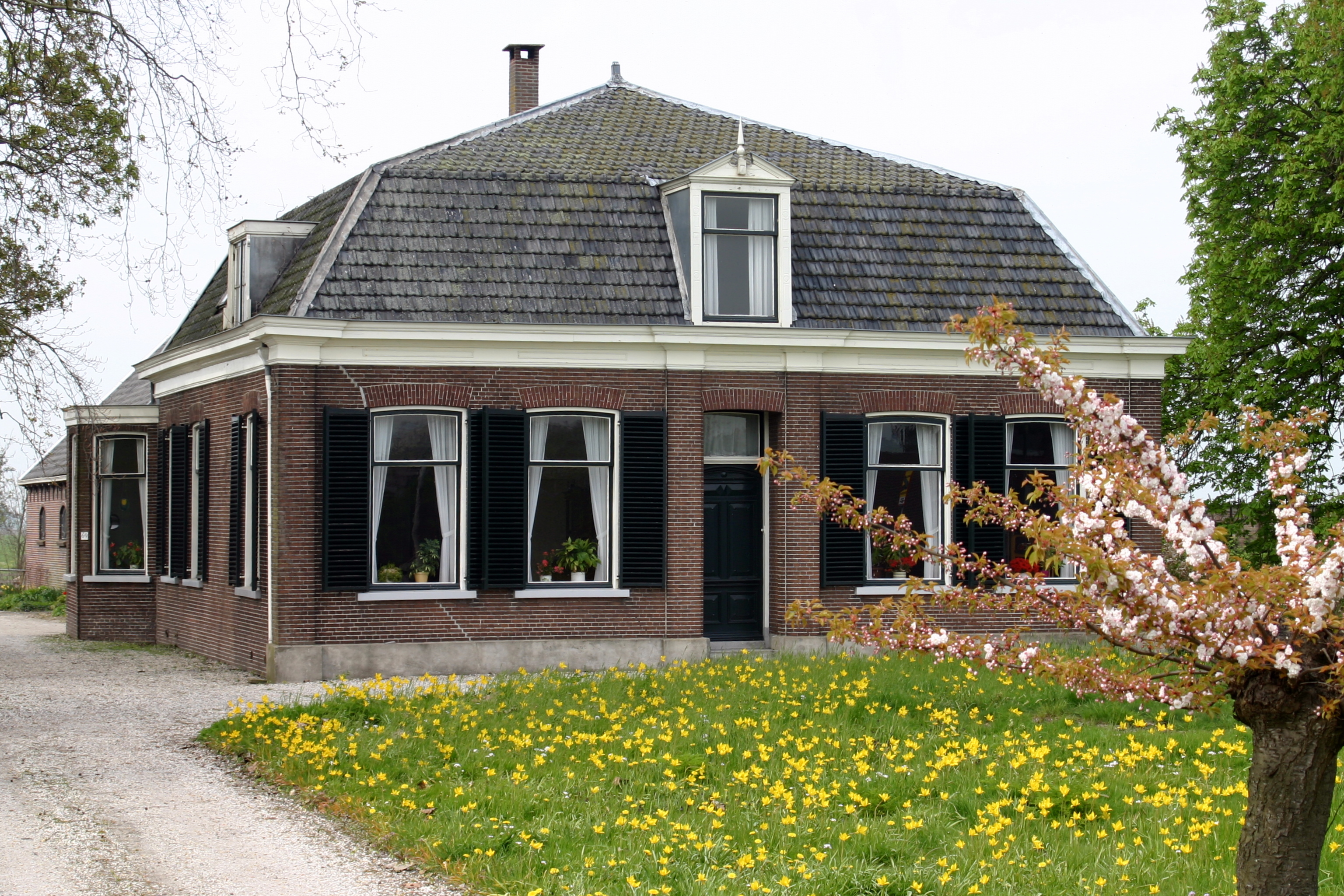 Rosa Palace® Hatfield™